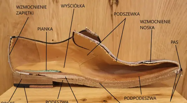 Przekrój buta ukazujący jego budowę: wyściółka, pianka, podszewka, wzmocnienia, podeszwa, obcas, flek, stalka, korek, podpodeszwa i szew.
